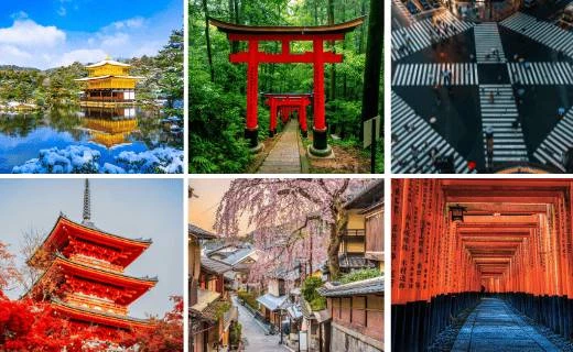 Kyoto - Cố đô với hàng ngàn đền chùa, miếu mạo và rừng tre Arashiyama huyền thoại.