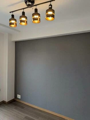 real-estate-image-4