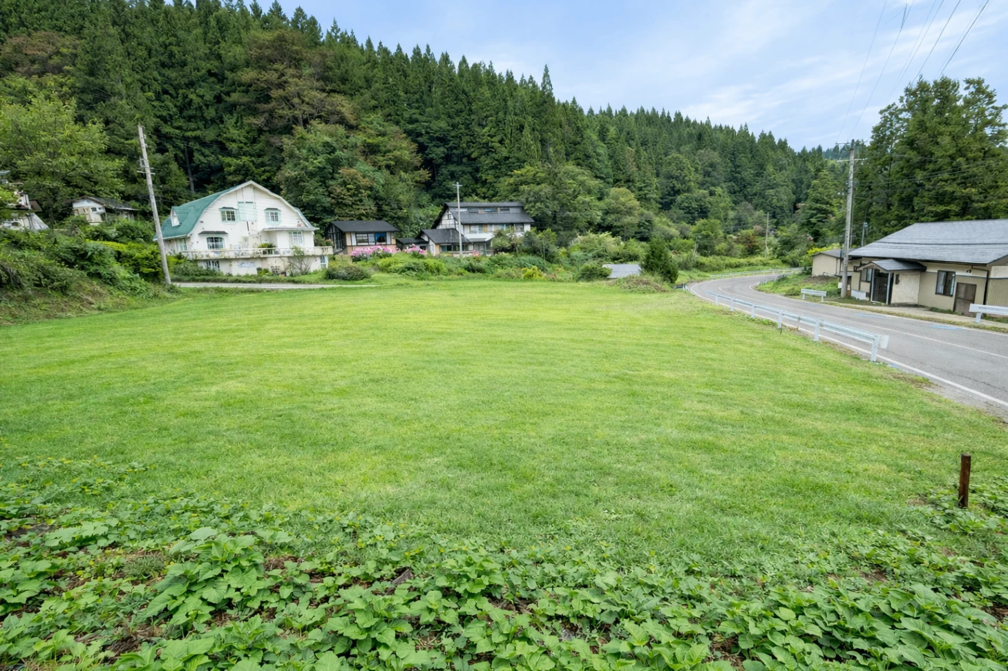 real-estate-image-2