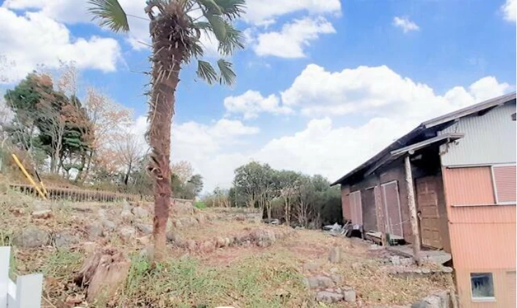 real-estate-image-2