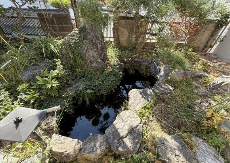 real-estate-image-2