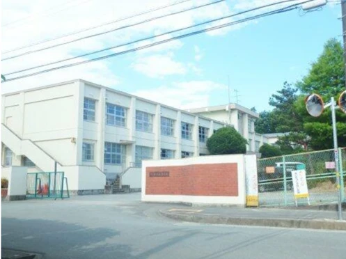 real-estate-image-2