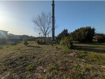 real-estate-image-6