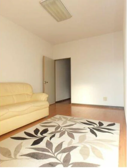 real-estate-image-2