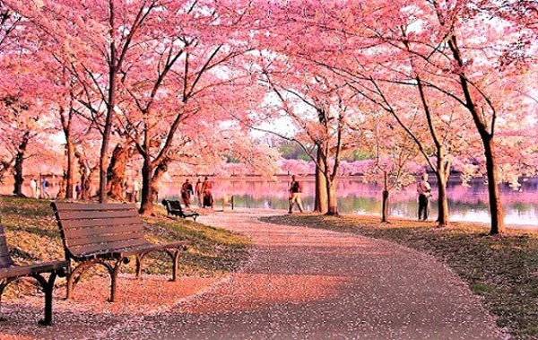 Đinh Quốc Hải