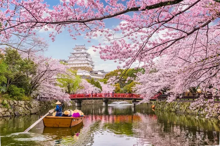 Tour Nhật Bản mùa hoa anh đào 5N5Đ | Osaka - Kyoto - Yamanashi - Fuji - Tokyo (Tour không mua sắm)