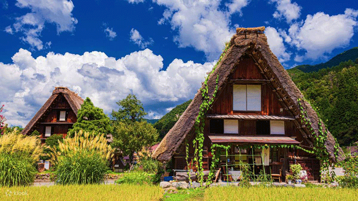 Tour Nhật Bản 5N5Đ: Nagoya - Gifu - Tokyo - Yamanashi - Nagoya
