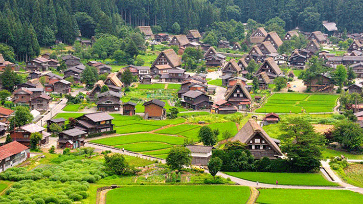 Tour Nhật Bản 5N4Đ: Tateyama - Kamikochi - Fuji Shibazakura - Shirakawago - Kanazawa