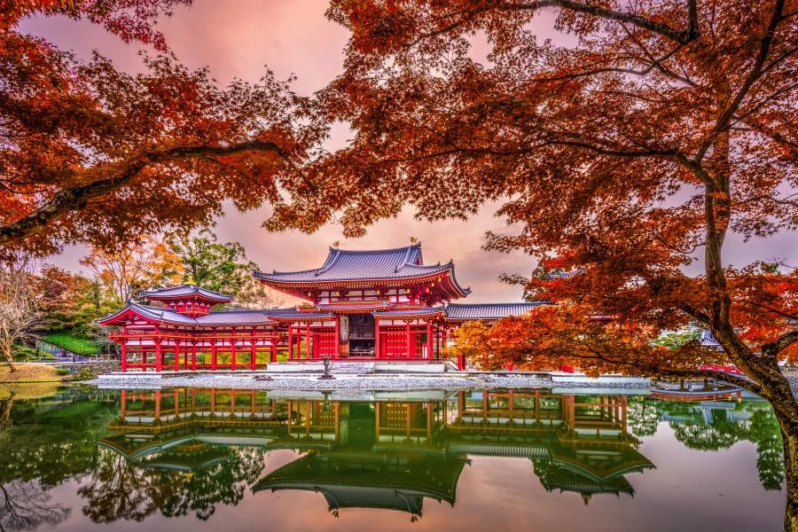 MÙA THU NHẬT BẢN | OSAKA – NARA – KYOTO – NAGOYA – YAMANASHI – TOKYO