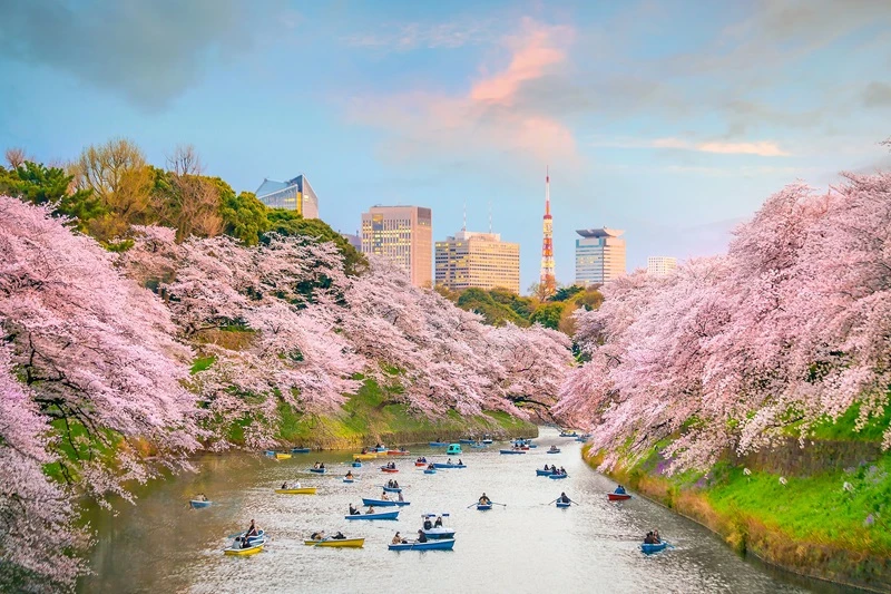 NHẬT BẢN 6N5Đ | KOBE – OSAKA – KYOTO – PHÚ SĨ – TOKYO