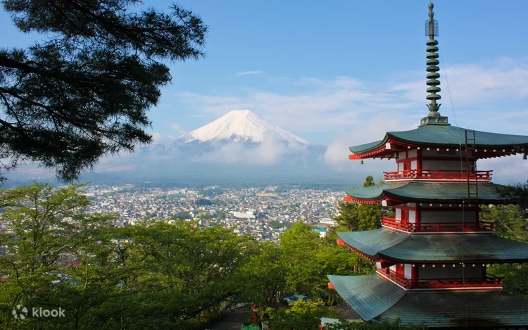 Tour Ngày Núi Phú Sĩ: Ngắm Hoa và Mua Sắm từ Tokyo