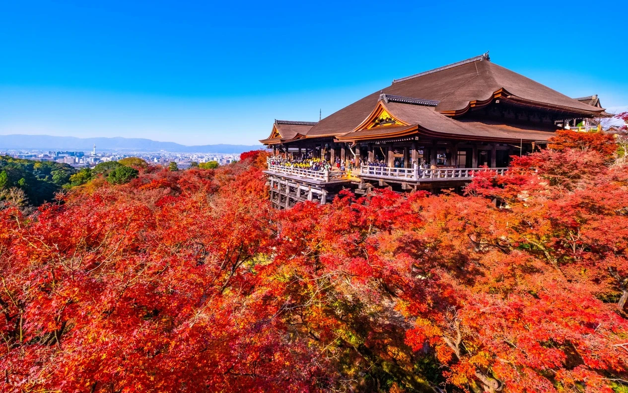TOUR NGÀY KYOTO: FUSHIMI INARI – ARASHIYAMA – CHÙA THANH THỦY (KIYOMIZU-DERA)