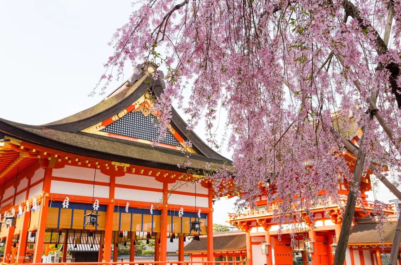 tour-thumb-2