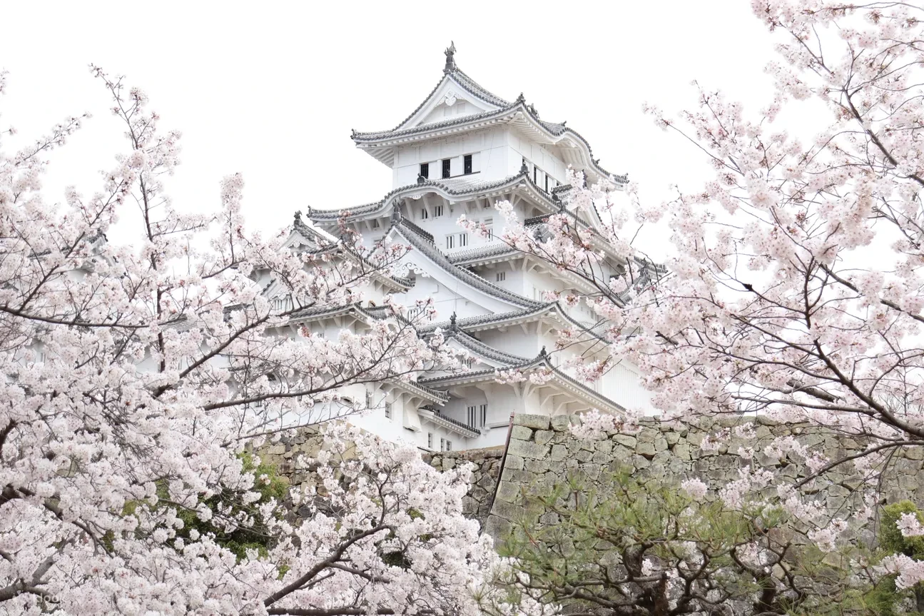 TOUR NGÀY DI SẢN: THÀNH HIMEJI – DI SẢN THẾ GIỚI & ARIMA ONSEN