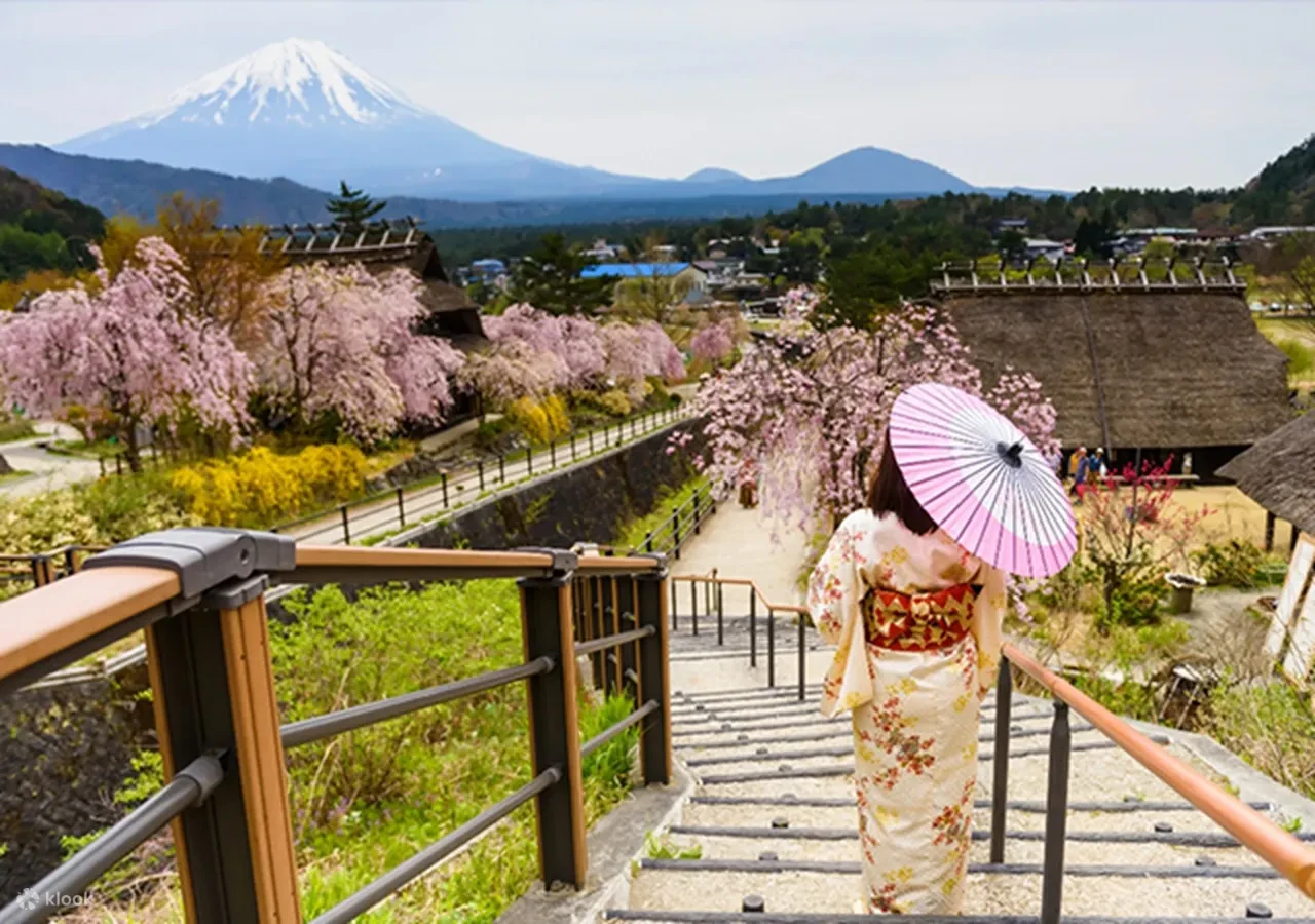 TOUR TRỌN NGÀY CÓ HƯỚNG DẪN: TOKYO – NÚI PHÚ SĨ & CÔNG VIÊN ARAKURAYAMA