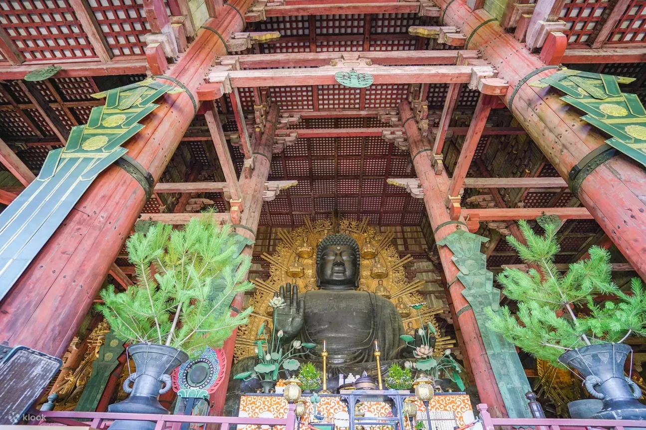 NARA: KHÁM PHÁ ĐỀN TODAI-JI & TOUR ĐI BỘ CÓ HƯỚNG DẪN