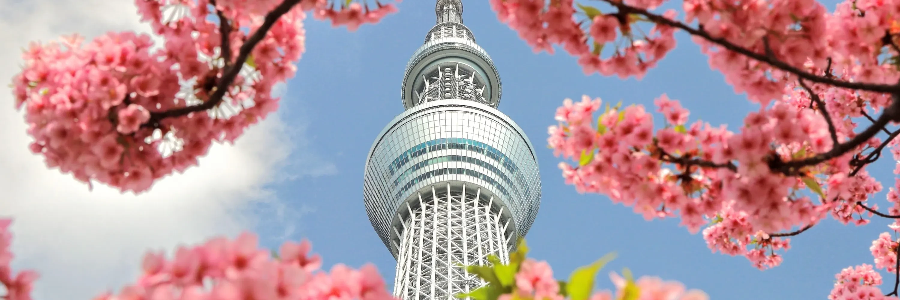 tour-thumb-3
